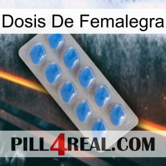 Femalegra Dosage 22